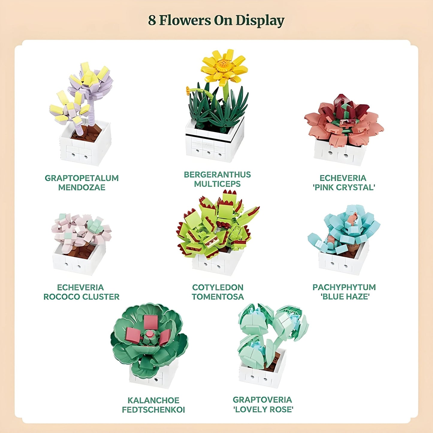 Mini Succulent Set – 977 PCS 8 DIY Brick Plants for Decor - STEM Building Toy by LULEGO